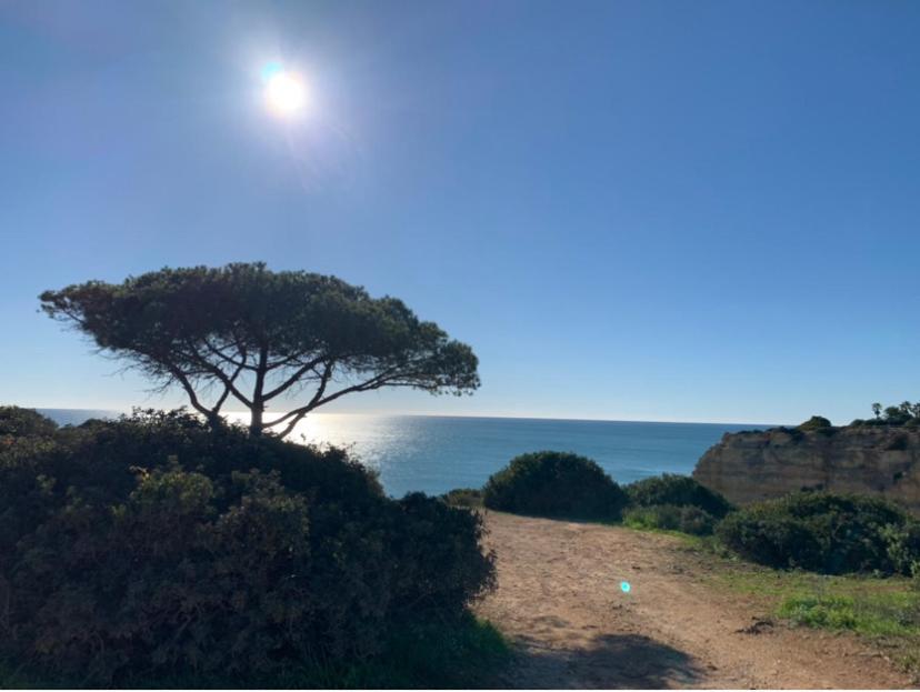 A Beira Do Vale, Carvoeiro Acomodação com café da manhã Carvoeiro  Exterior foto